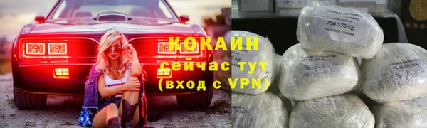 стаф Ельня